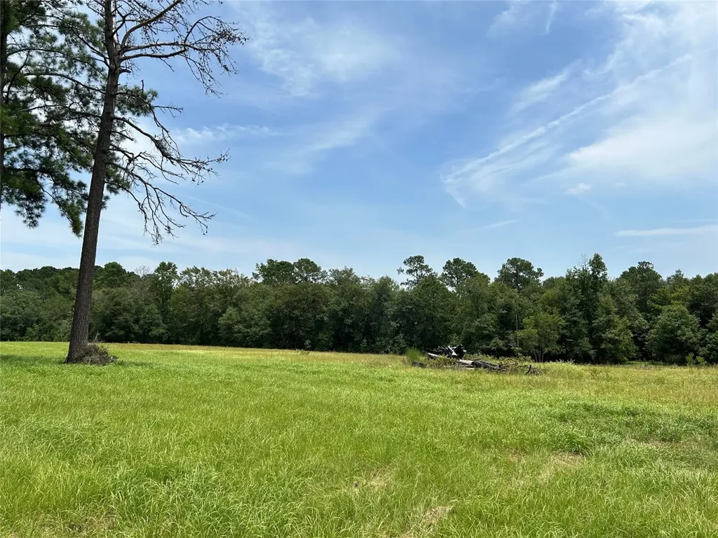 Lot 378 Madison Lake Loop Woodville TX 75979
