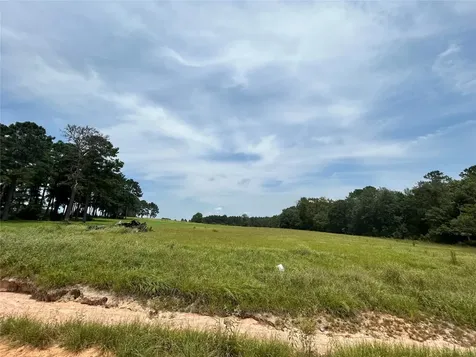 Lot 378 Madison Lake Loop Woodville TX 75979
