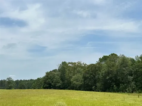 Lot 378 Madison Lake Loop Woodville TX 75979