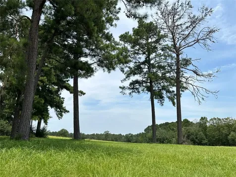 Lot 378 Madison Lake Loop Woodville TX 75979