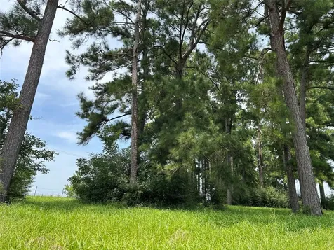 Lot 378 Madison Lake Loop Woodville TX 75979