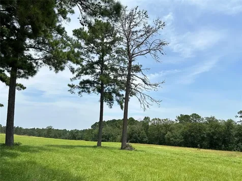 Lot 378 Madison Lake Loop Woodville TX 75979