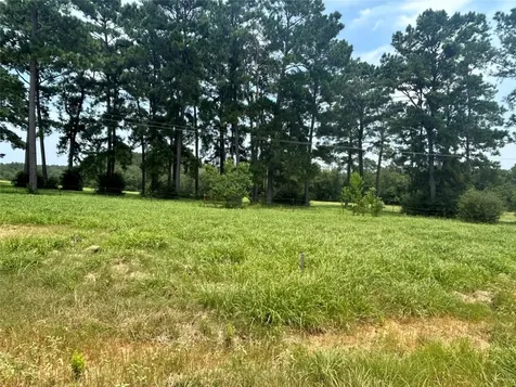 Lot 378 Madison Lake Loop Woodville TX 75979