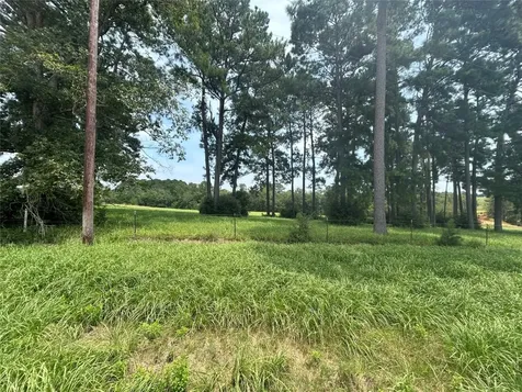 Lot 378 Madison Lake Loop Woodville TX 75979