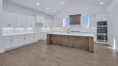 1159 Basset Hound Drive Montgomery TX 77316