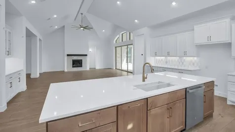 1159 Basset Hound Drive Montgomery TX 77316