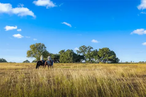 5019 Hartfield Road - Tract 8 Round Top TX 78954