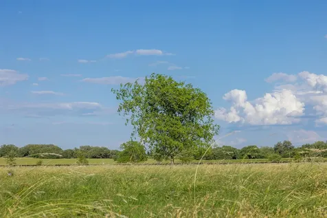 5019 Hartfield Road - Tract 8 Round Top TX 78954