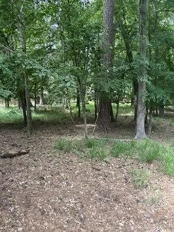 1933 Rollingwood Drive Huntsville TX 77340