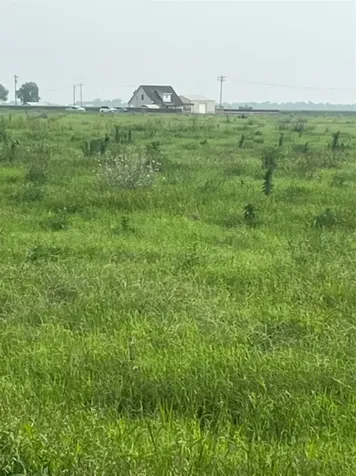 000 Gold Road Garwood TX 77442