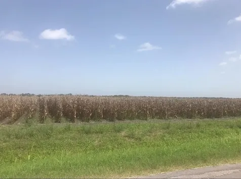 000 Gold Road Garwood TX 77442
