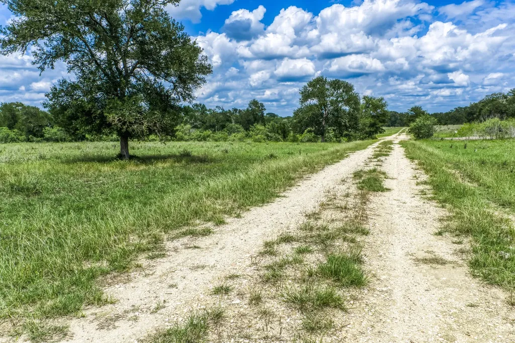 TBD(+/-237.91 Ac) Hwy 36 S Caldwell TX 77836