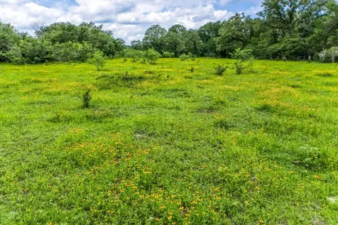 TBD(+/-237.91 Ac) Hwy 36 S Caldwell TX 77836