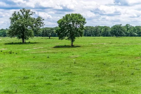 TBD(+/-237.91 Ac) Hwy 36 S Caldwell TX 77836