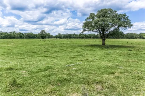 TBD(+/-237.91 Ac) Hwy 36 S Caldwell TX 77836