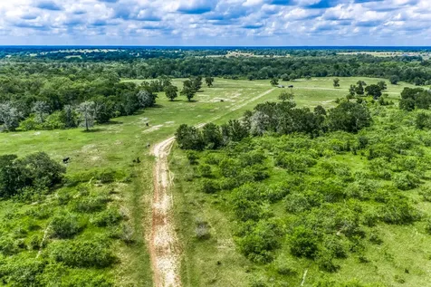 TBD(+/-237.91 Ac) Hwy 36 S Caldwell TX 77836