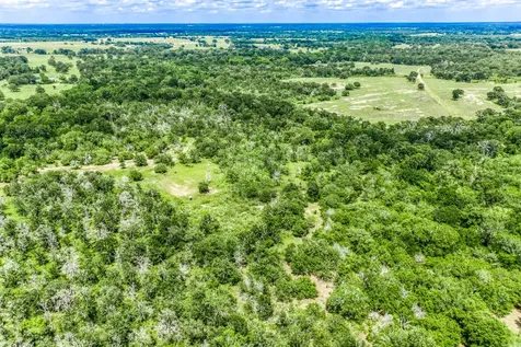 TBD(+/-237.91 Ac) Hwy 36 S Caldwell TX 77836