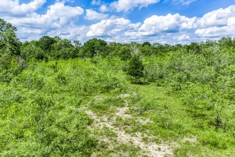 TBD(+/-237.91 Ac) Hwy 36 S Caldwell TX 77836