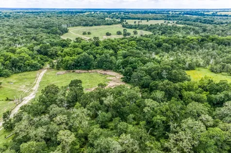 TBD(+/-237.91 Ac) Hwy 36 S Caldwell TX 77836