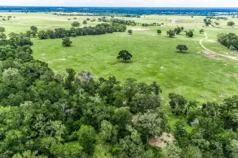 TBD(+/-237.91 Ac) Hwy 36 S Caldwell TX 77836