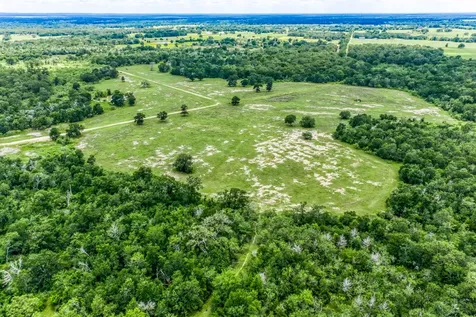TBD(+/-237.91 Ac) Hwy 36 S Caldwell TX 77836