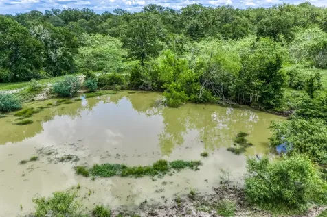 TBD(+/-237.91 Ac) Hwy 36 S Caldwell TX 77836