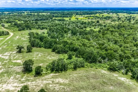 TBD(+/-237.91 Ac) Hwy 36 S Caldwell TX 77836