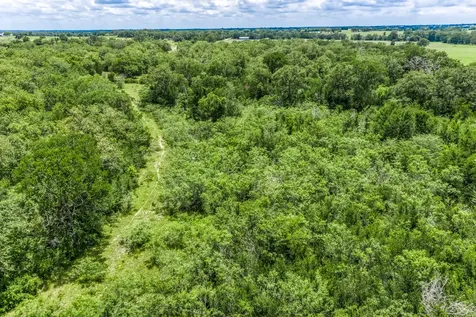 TBD(+/-237.91 Ac) Hwy 36 S Caldwell TX 77836