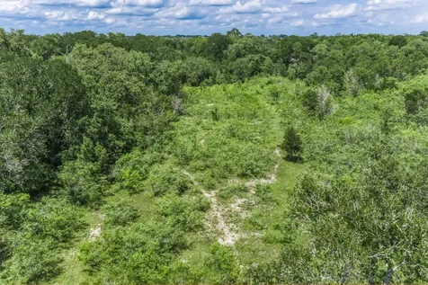 TBD(+/-237.91 Ac) Hwy 36 S Caldwell TX 77836