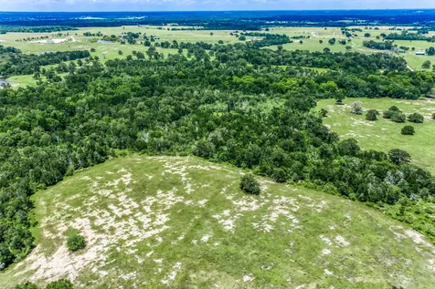 TBD(+/-237.91 Ac) Hwy 36 S Caldwell TX 77836