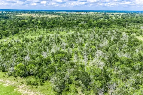 TBD(+/-237.91 Ac) Hwy 36 S Caldwell TX 77836