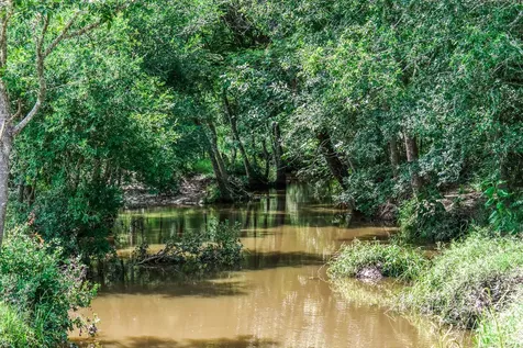 TBD(+/-237.91 Ac) Hwy 36 S Caldwell TX 77836
