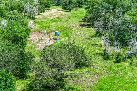 TBD(+/-237.91 Ac) Hwy 36 S Caldwell TX 77836