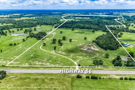 TBD(+/-237.91 Ac) Hwy 36 S Caldwell TX 77836