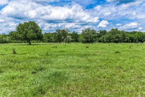 TBD(+/-237.91 Ac) Hwy 36 S Caldwell TX 77836