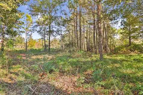 576 County Road 614 Dayton TX 77535