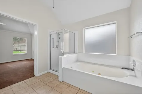 914 W Peach Hollow Circle Pearland TX 77584