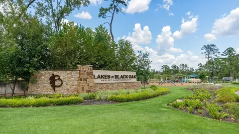 135 Courageous Side Way Magnolia TX 77354