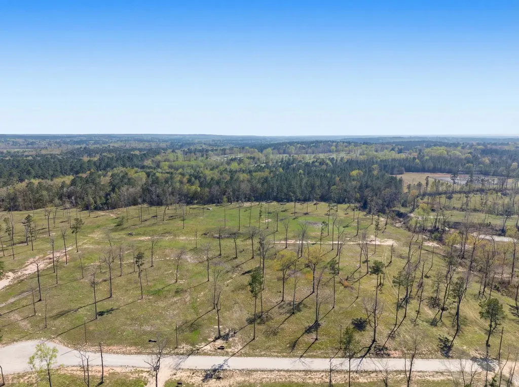 Lot 4 Johnson Drive Livingston TX 77351