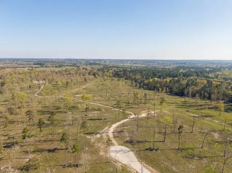 Lot 4 Johnson Drive Livingston TX 77351