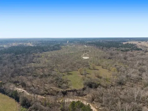 Lot 4 Johnson Drive Livingston TX 77351