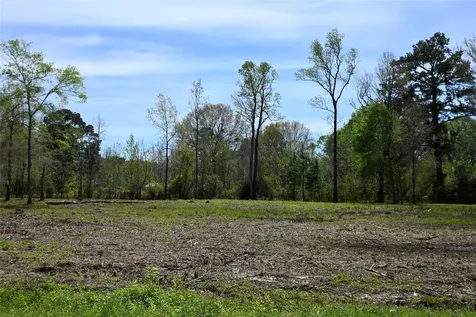 Lot 3 County Road 2360 Hardin TX 77575
