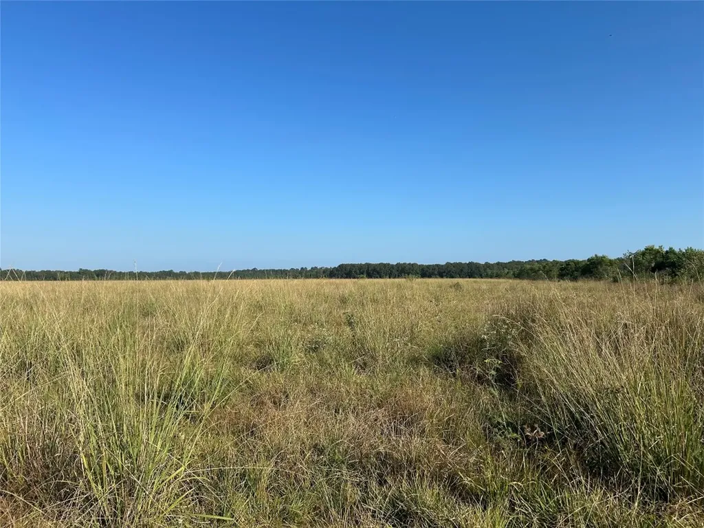 Lot 61 Minnie West Drive Hull TX 77564
