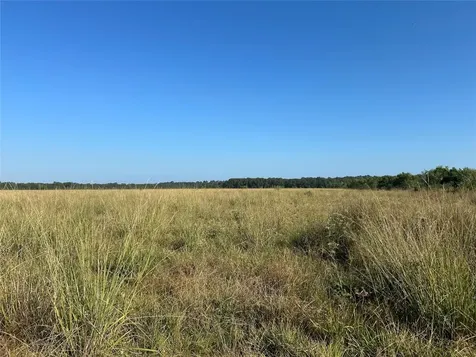 Lot 61 Minnie West Drive Hull TX 77564