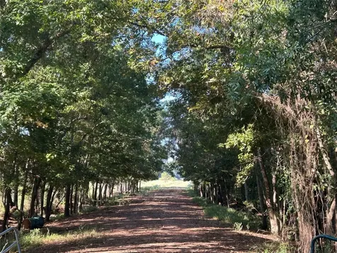 Lot 61 Minnie West Drive Hull TX 77564