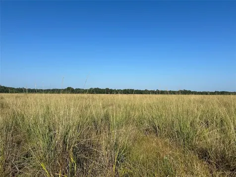 Lot 61 Minnie West Drive Hull TX 77564
