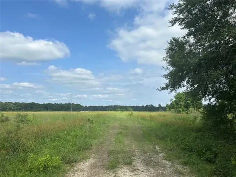 Lot 61 Minnie West Drive Hull TX 77564