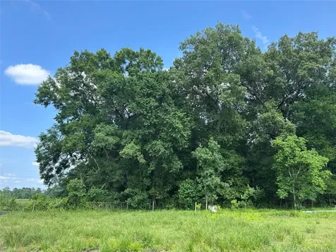 Lot 61 Minnie West Drive Hull TX 77564
