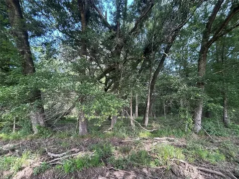 Lot 61 Minnie West Drive Hull TX 77564