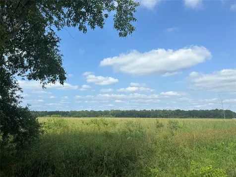 Lot 61 Minnie West Drive Hull TX 77564